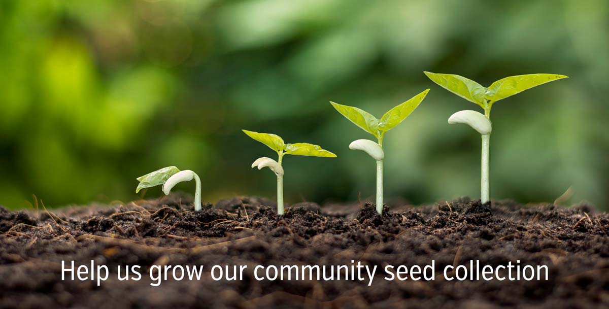 Help us grow our community seed collection!