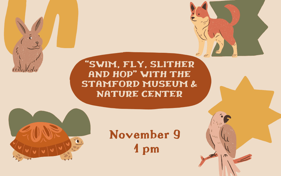 “Swim, Fly, Slither and Hop” with The Stamford Museum & Nature Center slider (960 x 600 px)